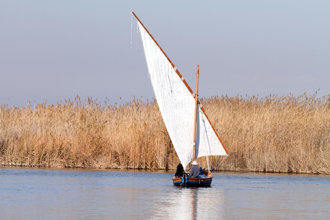 albufera-barca-2.jpg